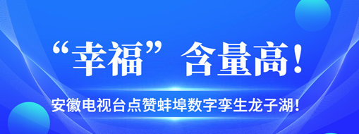 ?“幸?！焙扛撸不针娨暸_點贊蚌埠數(shù)字孿生龍子湖！